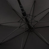 T6DTQCL_FFFFFF
